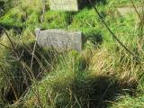 image of grave number 679678